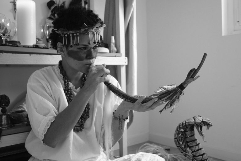 Medicinas xamanicas (1)